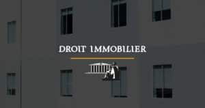 Lire la suite à propos de l’article Syndic ou syndicat de copropriétaires : qui l’employé d’immeuble doit-il assigner aux Prud’hommes ?