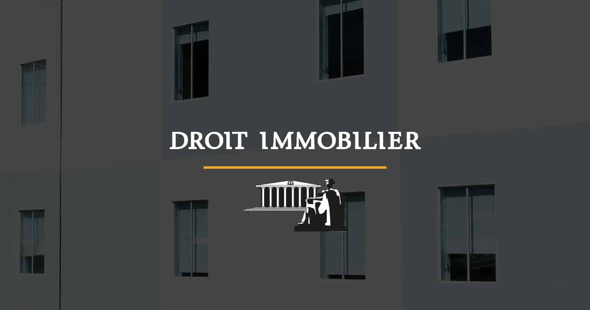 You are currently viewing Syndic ou syndicat de copropriétaires : qui l’employé d’immeuble doit-il assigner aux Prud’hommes ?