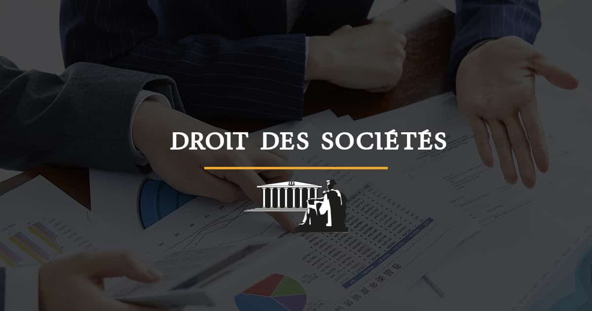 You are currently viewing Responsabilité pour les fautes de gestion commises dans l’exercice des pouvoirs délégués